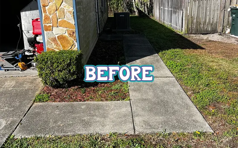 Side walkway before cleaning